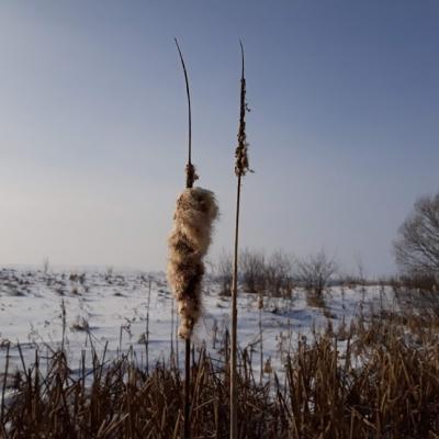 20190127 133837